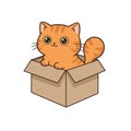Adorable Orange Tabby Cat Sitting Comfortably Inside a Cardboard Box Royalty Free Stock Photo