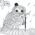 Adorable owl coloring page