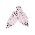 Adorable pair of snowy owl sits together. Cute polar birds of prey look back. Arctic animals with winter feathers. Wild