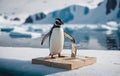 Adorable Penguin Posing on an Ice Sheet Amidst Icebergs