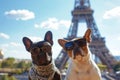 Adorable Pets Strike A Pose On The Iconic Eiffel Tower In France