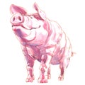 Adorable pink pig isolated, cute farm animal, hand drawn watercolor illustration on white