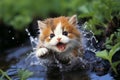 adorable and playful kitten splashing happily in the refreshing water