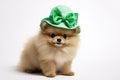 Adorable Pomeranian Dog Dressed in St. Patrick's Day Green Hat and Bowtie - Generative AI