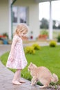 Adorable preschooler girl and a cat outdoors Royalty Free Stock Photo