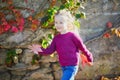 Adorable preschooler girl enjoying nice and sunny autumn day outdoors