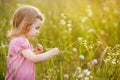 Adorable preschooler girl in a meadow Royalty Free Stock Photo