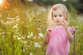 Adorable preschooler girl in a meadow