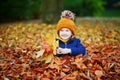 Adorable preschooler girl sitting on the ground in large heap of fallen leaves and playing with them on autumn day Royalty Free Stock Photo