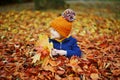 Adorable preschooler girl sitting on the ground in large heap of fallen leaves and playing with them on autumn day Royalty Free Stock Photo