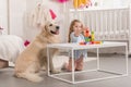 adorable preschooler playing with educational cubes, golden retriever sitting near table