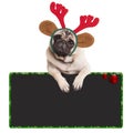 Adorable pug puppy dog wearing reindeer antlers for christmas, leaning on blank sign, on white background