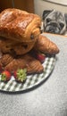 Adorable Pug Resists Temptation of Sugary Croissants Royalty Free Stock Photo