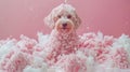 Adorable Puppy Covered in Pink and White Fluffy Bubbles Against Pastel Pink Background Royalty Free Stock Photo