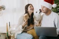 Adorable puppy kissing stylish couple in lights and santa hat with gift. Merry Christmas