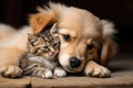 Adorable puppy and kitten lying together. AI Generative