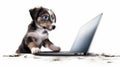 Adorable Puppy Plays With Laptop Computer In Authentic Style