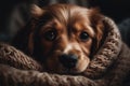 Adorable Puppy Snuggles Under Cozy Blanket With Sleepy Eyes. Generative AI
