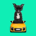 Adorable puppy with stylish sunglasses in toy car on turquoise background Royalty Free Stock Photo