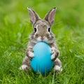 Adorable rabbit holds blue egg, epitomizing Easter holiday charm