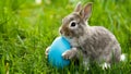 Adorable rabbit holds blue egg, epitomizing Easter holiday charm