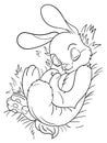 Hop into Imagination: Cute Rabbit Illustration for Coloring Book Royalty Free Stock Photo