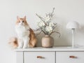 Adorable red cat, flower arrangement in a ceramic vase and a white metal table lamp on a white table. Minimalism style interior Royalty Free Stock Photo