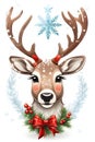 An adorable reindeer with a big nose, red ribbon and antlers, cute, christmas, white background, animal, printable