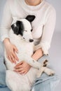 Adorable relaxed dog resting on owners laps. Cuddling with adorable black and white outbred dog Royalty Free Stock Photo