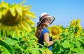 Adorable rustic child girl enjoy summer at sunflowers field, happy day outdoors Royalty Free Stock Photo