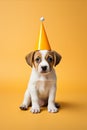 Adorable sad Puppy Dog Wearing Party Hat Celebrating Festive Birthday with Copy Space Royalty Free Stock Photo