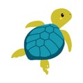 Adorable sea turtle. Cute baby reptile animal cartoon vector illustration Royalty Free Stock Photo