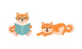 Adorable Shiba Inu Dog Activities Set, Akita Inu Puppy Reading Book and Resting Cartoon Vector Illustration