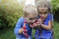 Adorable sibling in blue t-shirts eating raspberry from fingers in home garden Royalty Free Stock Photo