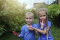 Adorable sibling in blue t-shirts eating raspberry from fingers in home garden Royalty Free Stock Photo