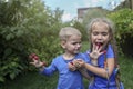 Adorable sibling in blue t-shirts eating raspberry from fingers in home garden Royalty Free Stock Photo