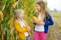 Adorable sisters playing in a corn field on beautiful autumn day. Pretty children holding cobs of corn. Harvesting with kids.