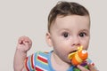 Adorable six month old child chewing a toy. Baby teething.