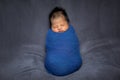 Adorable sleeping newborn baby relax in a blue stretch wrap material on grey blanket background.Asian newborn infant baby sleep Royalty Free Stock Photo