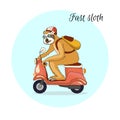 Adorable sloth riding a pink scooter. A sloth female travels by motorcycle in a helmet and with a yellow backpack. Royalty Free Stock Photo