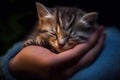 An adorable small kitten peacefully snoozing in a persons hands, enjoying a cozy nap, The kitten sleeps in my palm, AI Generated