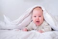 Adorable smiling baby boy under white blanket in bedroom. Newborn child relaxing in bed. Family morning at home. New Royalty Free Stock Photo