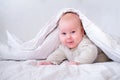 Adorable smiling baby boy under white blanket in bedroom. Newborn child relaxing in bed. Family morning at home. New Royalty Free Stock Photo