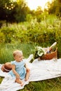 Adorable smiling baby girl sitting on blanket at the park with basket and flowers, parents with beautiful toddler having Royalty Free Stock Photo