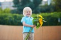 Little boy with bunch of sunflowers outdoors Royalty Free Stock Photo