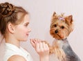 Smiling little girl child schoolgirl holding and playing with pet dog yorkshire terrier Royalty Free Stock Photo