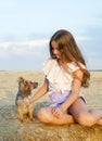 Adorable smiling little girl child sitting on a hay rolls in a wheat field with her small dog pet yorkshire terrier Royalty Free Stock Photo