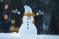 Adorable smiling snowman with Christmas lights on winter day Royalty Free Stock Photo