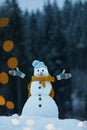 Adorable smiling snowman with Christmas lights on winter day Royalty Free Stock Photo