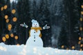 Adorable smiling snowman with Christmas lights on winter day Royalty Free Stock Photo